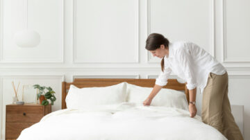 Actu bien-être : comment savoir si vous avez des punaises de lit chez vous ?